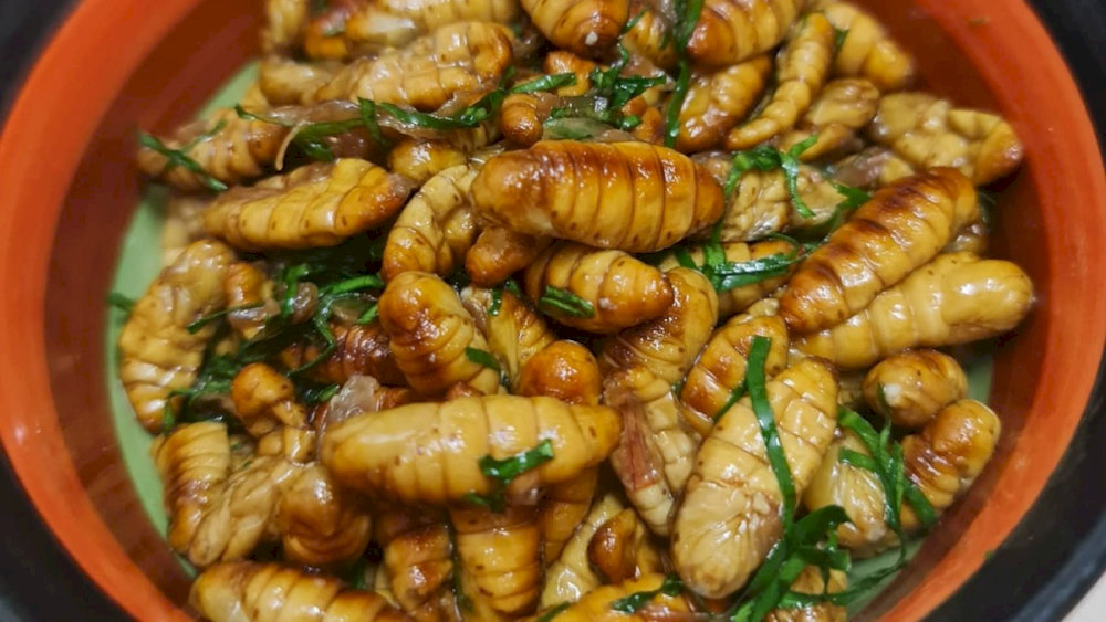 Nhộng ong rừng rang lá chanh 